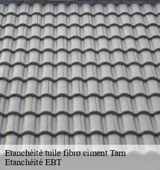 Etanchèité tuile fibro ciment 81 Tarn  Etanchéité EBT