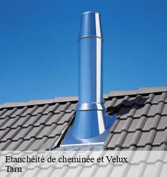 Etanchéité de cheminée et Velux 81 Tarn Entreprise JACQUET