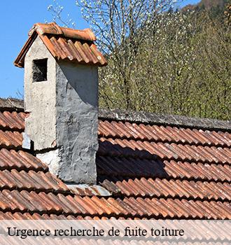 Urgence recherche de fuite toiture 81 Tarn  Etanchéité EBT