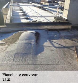 Etancheite couvreur 81 Tarn  Entreprise JACQUET