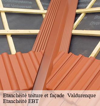 Etanchéité toiture et façade   valdurenque-81090 Etanchéité EBT