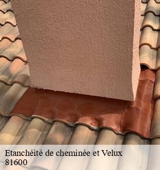 Etanchéité de cheminée et Velux  brens-81600 Etanchéité EBT