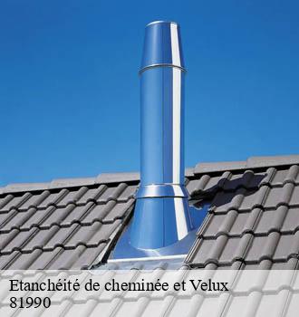 Etanchéité de cheminée et Velux  cambon-81990 Entreprise JACQUET