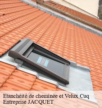 Etanchéité de cheminée et Velux cuq-81570 Entreprise JACQUET