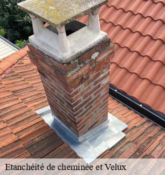 Etanchéité de cheminée et Velux ferrieres-81260 Entreprise JACQUET