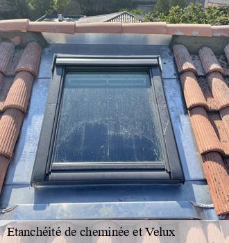 Etanchéité de cheminée et Velux  pratviel-81500 Etanchéité EBT