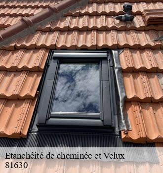 Etanchéité de cheminée et Velux la-sauziere-saint-jean-81630 Entreprise JACQUET