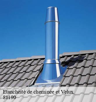 Etanchéité de cheminée et Velux treban-81190 Entreprise JACQUET
