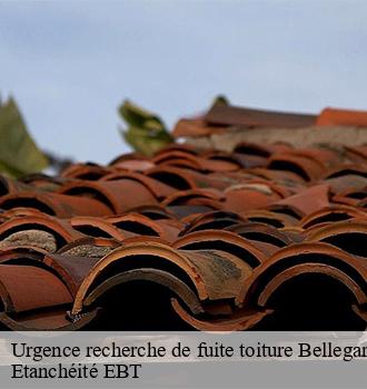 Urgence recherche de fuite toiture  bellegarde-81430 Etanchéité EBT