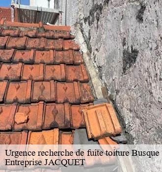 Urgence recherche de fuite toiture busque-81300 Entreprise JACQUET