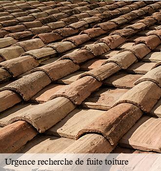 Urgence recherche de fuite toiture  cabanes-81500 Etanchéité EBT