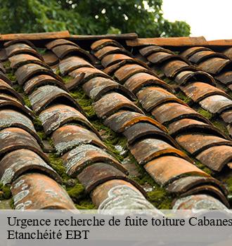 Urgence recherche de fuite toiture  cabanes-81500 Etanchéité EBT