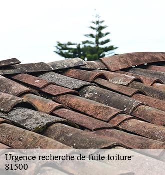 Urgence recherche de fuite toiture  cabanes-81500 Etanchéité EBT