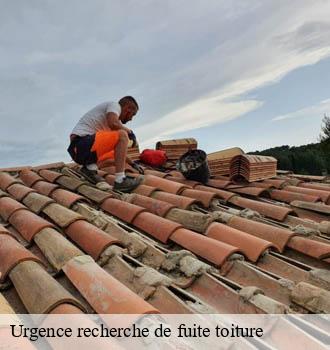 Urgence recherche de fuite toiture frejeville-81570 Entreprise JACQUET