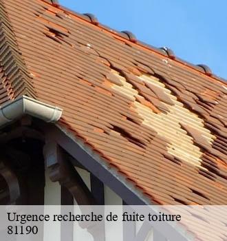 Urgence recherche de fuite toiture montirat-81190 Entreprise JACQUET