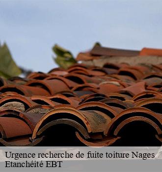 Urgence recherche de fuite toiture  nages-81320 Etanchéité EBT