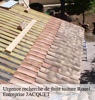 Urgence recherche de fuite toiture ronel-81120 Entreprise JACQUET