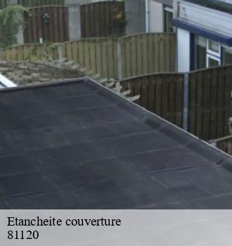 Etancheite couverture denat-81120 Entreprise JACQUET