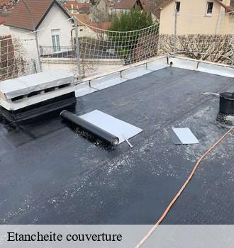 Etancheite couverture  pampelonne-81190 Etanchéité EBT