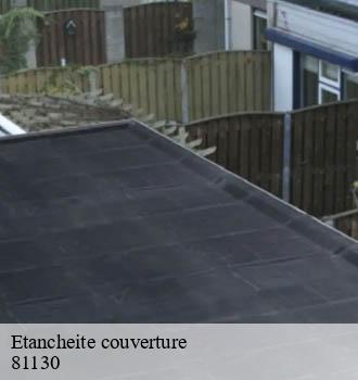Etancheite couverture  villeneuve-sur-vere-81130 Entreprise JACQUET