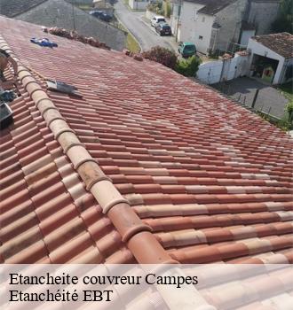 Etancheite couvreur  campes-81170 Etanchéité EBT