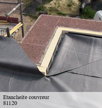 Etancheite couvreur denat-81120 Entreprise JACQUET