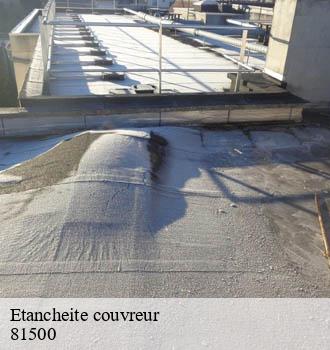 Etancheite couvreur giroussens-81500 Entreprise JACQUET