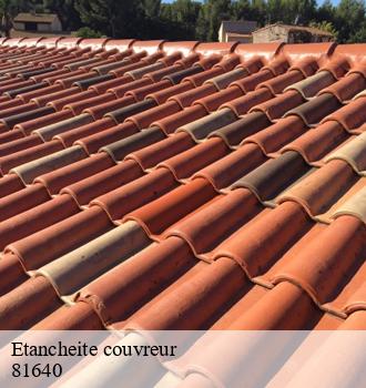 Etancheite couvreur  monesties-81640 Etanchéité EBT