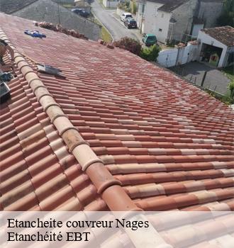 Etancheite couvreur  nages-81320 Etanchéité EBT