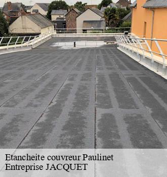 Etancheite couvreur paulinet-81250 Entreprise JACQUET