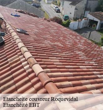 Etancheite couvreur  roquevidal-81470 Etanchéité EBT