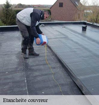 Etancheite couvreur tecou-81600 Entreprise JACQUET