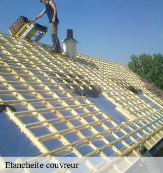 Etancheite couvreur  vabre-81330 Etanchéité EBT