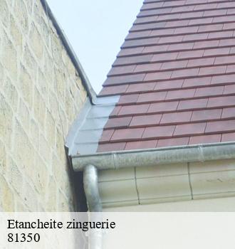 Etancheite zinguerie  crespin-81350 Etanchéité EBT