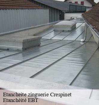 Etancheite zinguerie  crespinet-81350 Etanchéité EBT