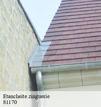 Etancheite zinguerie  itzac-81170 Etanchéité EBT