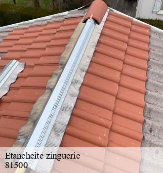 Etancheite zinguerie labastide-saint-georges-81500 Entreprise JACQUET