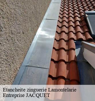 Etancheite zinguerie lamontelarie-81260 Entreprise JACQUET