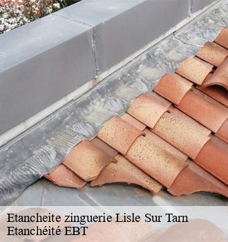 Etancheite zinguerie  lisle-sur-tarn-81310 Etanchéité EBT