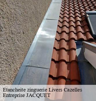 Etancheite zinguerie  livers-cazelles-81170 Entreprise JACQUET