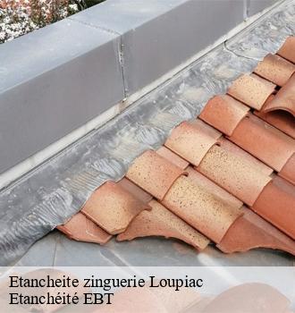 Etancheite zinguerie  loupiac-81800 Etanchéité EBT
