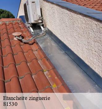 Etancheite zinguerie le-masnau-massuguies-81530 Entreprise JACQUET