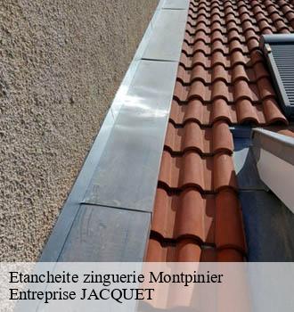 Etancheite zinguerie montpinier-81440 Entreprise JACQUET