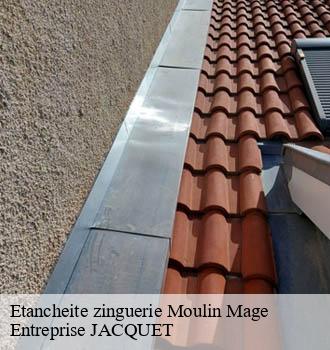 Etancheite zinguerie  moulin-mage-81320 Entreprise JACQUET