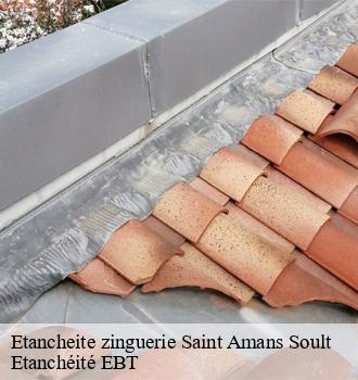 Etancheite zinguerie  saint-amans-soult-81240 Etanchéité EBT