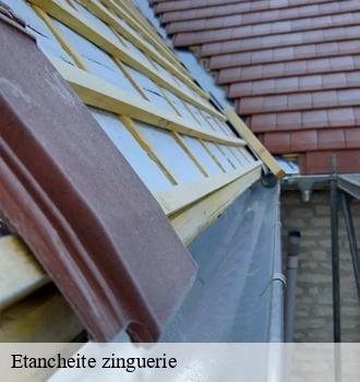 Etancheite zinguerie  saint-lieux-lafenasse-81120 Etanchéité EBT