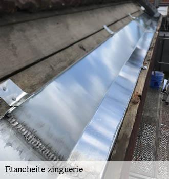 Etancheite zinguerie soual-81580 Entreprise JACQUET