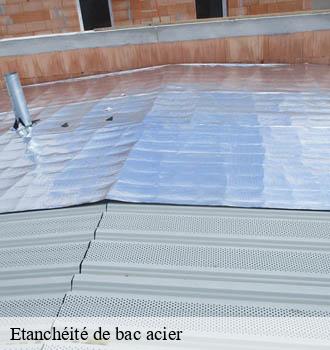 Etanchéité de bac acier albine-81240 Entreprise JACQUET