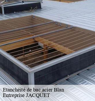 Etanchéité de bac acier blan-81700 Entreprise JACQUET