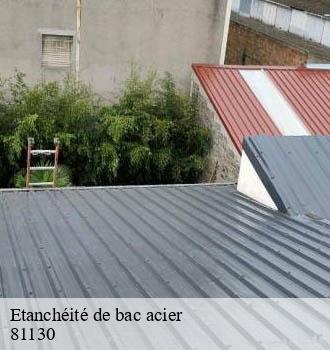 Etanchéité de bac acier cagnac-les-mines-81130 Entreprise JACQUET